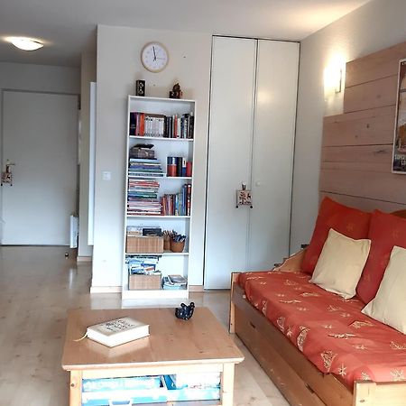 Le 102, T3 Pour 5 Personnes, Vue Montagne, Classe 2 Etoiles Nf, Parking, Piscine En Ete Bagnères-de-Luchon Exteriör bild