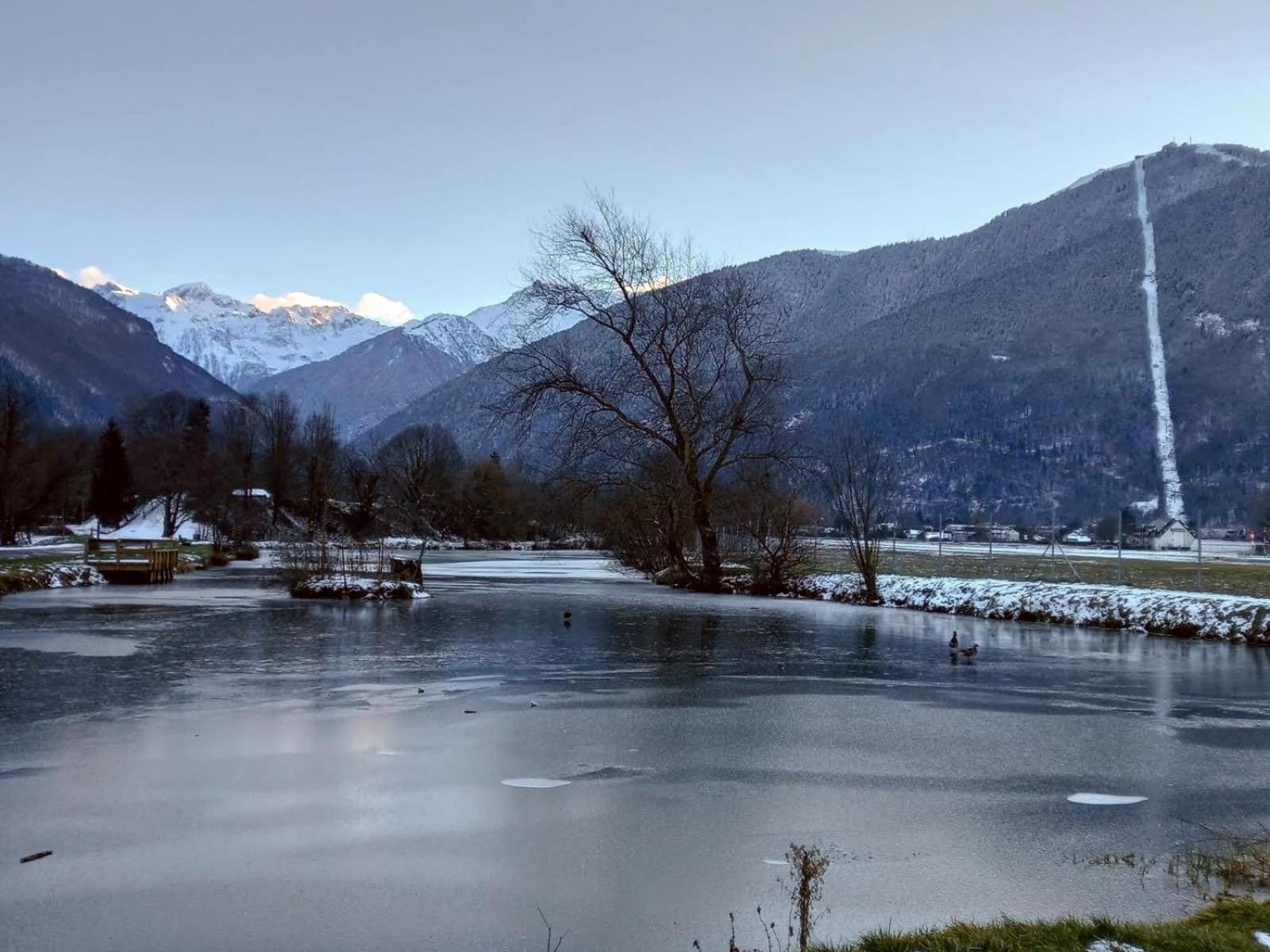 Le 102, T3 Pour 5 Personnes, Vue Montagne, Classe 2 Etoiles Nf, Parking, Piscine En Ete Bagnères-de-Luchon Exteriör bild