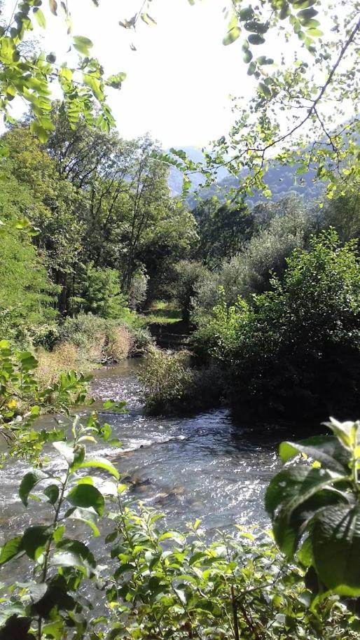 Le 102, T3 Pour 5 Personnes, Vue Montagne, Classe 2 Etoiles Nf, Parking, Piscine En Ete Bagnères-de-Luchon Exteriör bild