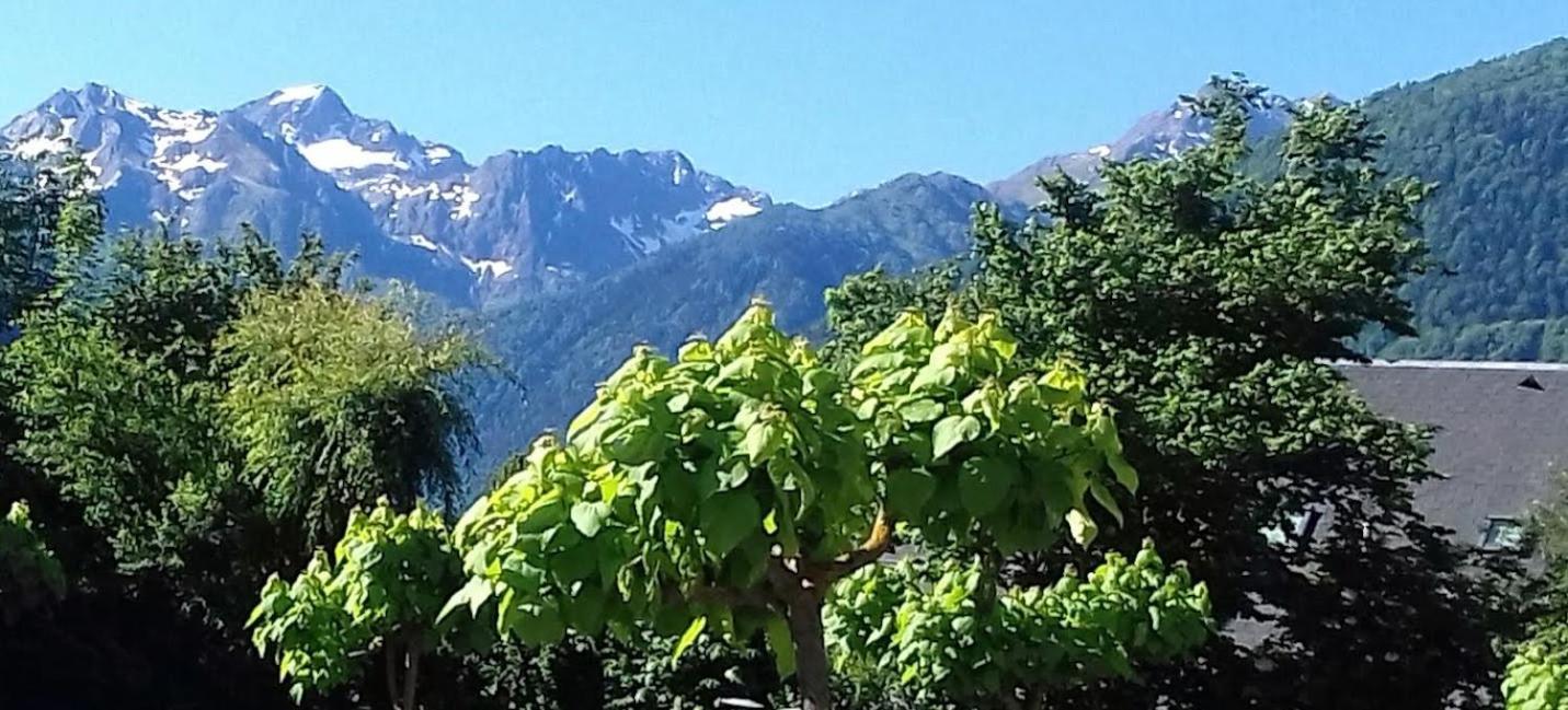Le 102, T3 Pour 5 Personnes, Vue Montagne, Classe 2 Etoiles Nf, Parking, Piscine En Ete Bagnères-de-Luchon Exteriör bild